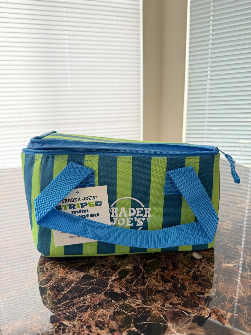 Trader Joe’s Limited Edition Blue/Green Striped Mini Insulated Bag